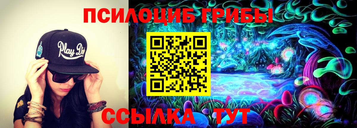 Псилоцибиновые грибы Psilocybine cubensis Донецк
