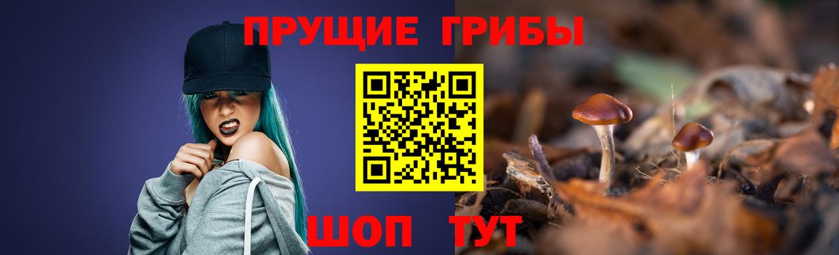 Донецк  Псилоцибиновые грибы прущие грибы  Вход с VPN 